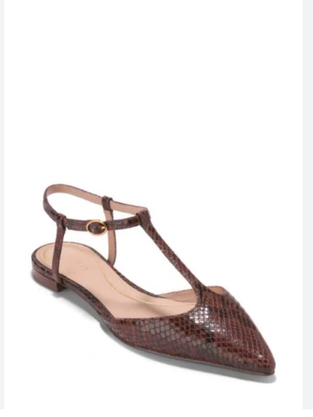 10. Cole Haan Marlah Pointed T-Strap Flat Sandal in Brown Snake-Embossed Leather